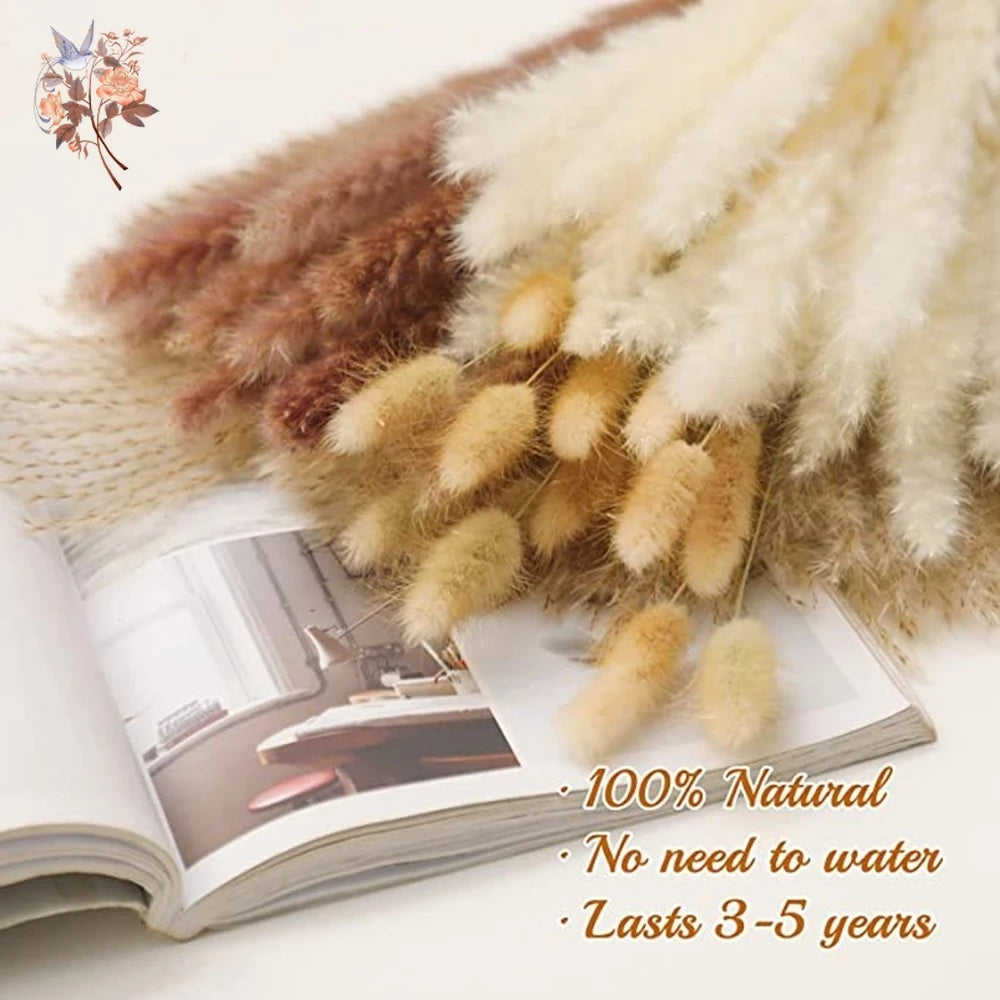 Natural Pampas Dried Flowers Bouquet for Boho Home Vase Decor Bunny Rabbit Tails Grass Artifical Flower Wedding Party Decoration