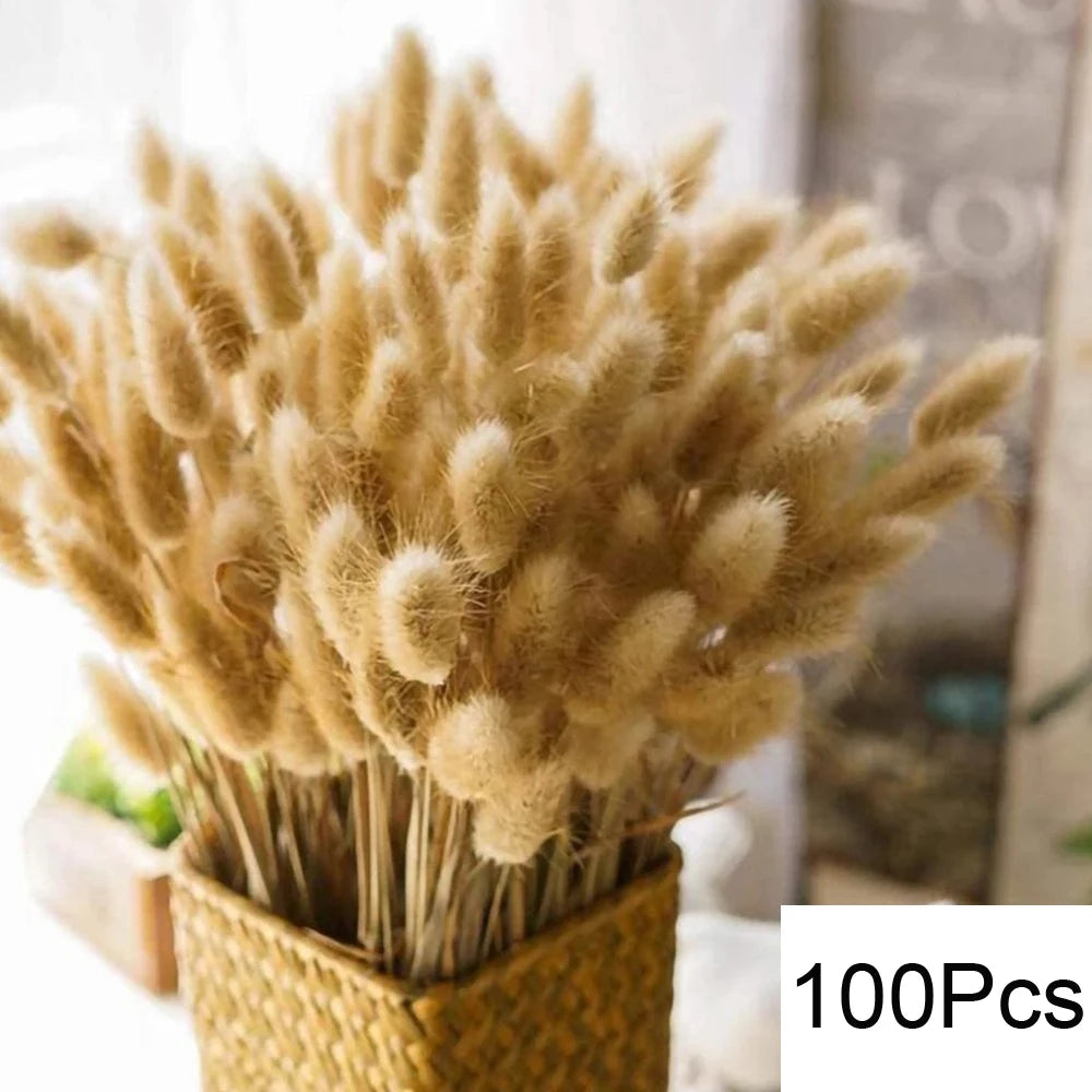 Natural Pampas Dried Flowers Bouquet for Boho Home Vase Decor Bunny Rabbit Tails Grass Artifical Flower Wedding Party Decoration