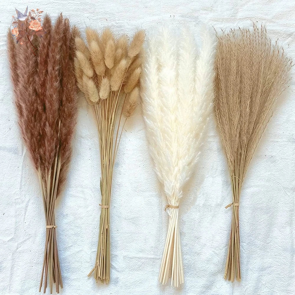 Natural Pampas Dried Flowers Bouquet for Boho Home Vase Decor Bunny Rabbit Tails Grass Artifical Flower Wedding Party Decoration