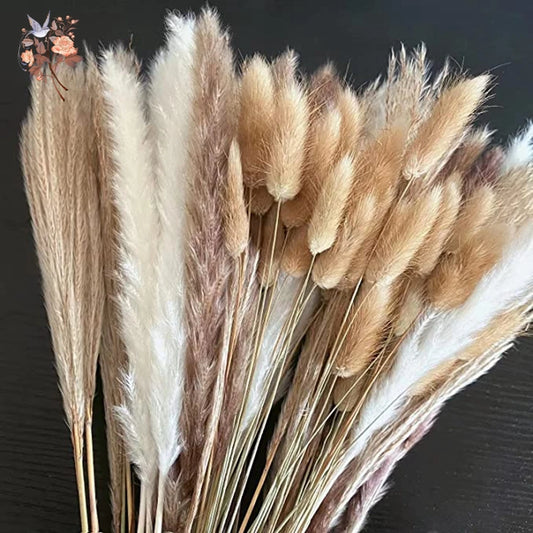 Natural Pampas Dried Flowers Bouquet for Boho Home Vase Decor Bunny Rabbit Tails Grass Artifical Flower Wedding Party Decoration